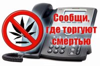 В Саратовской области стартовал второй этап антинаркотической акции «Сообщи, где торгуют смертью»